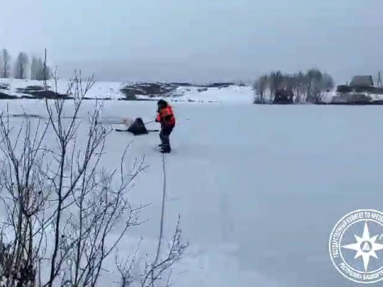 В Башкирии спасли оказавшегося посреди пруда лося