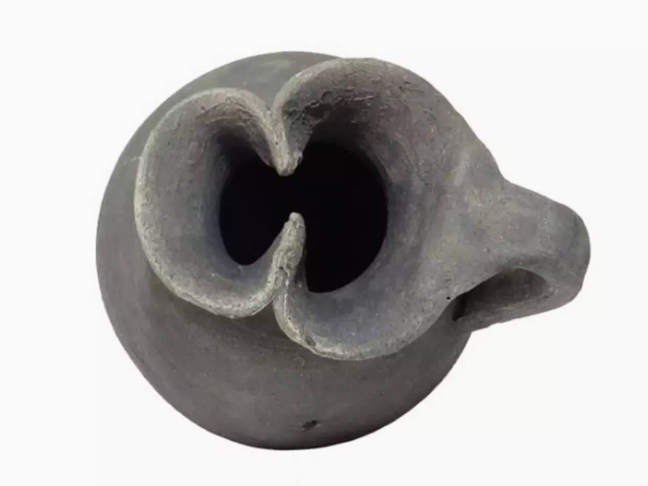 В России обнаружили ойнохойю