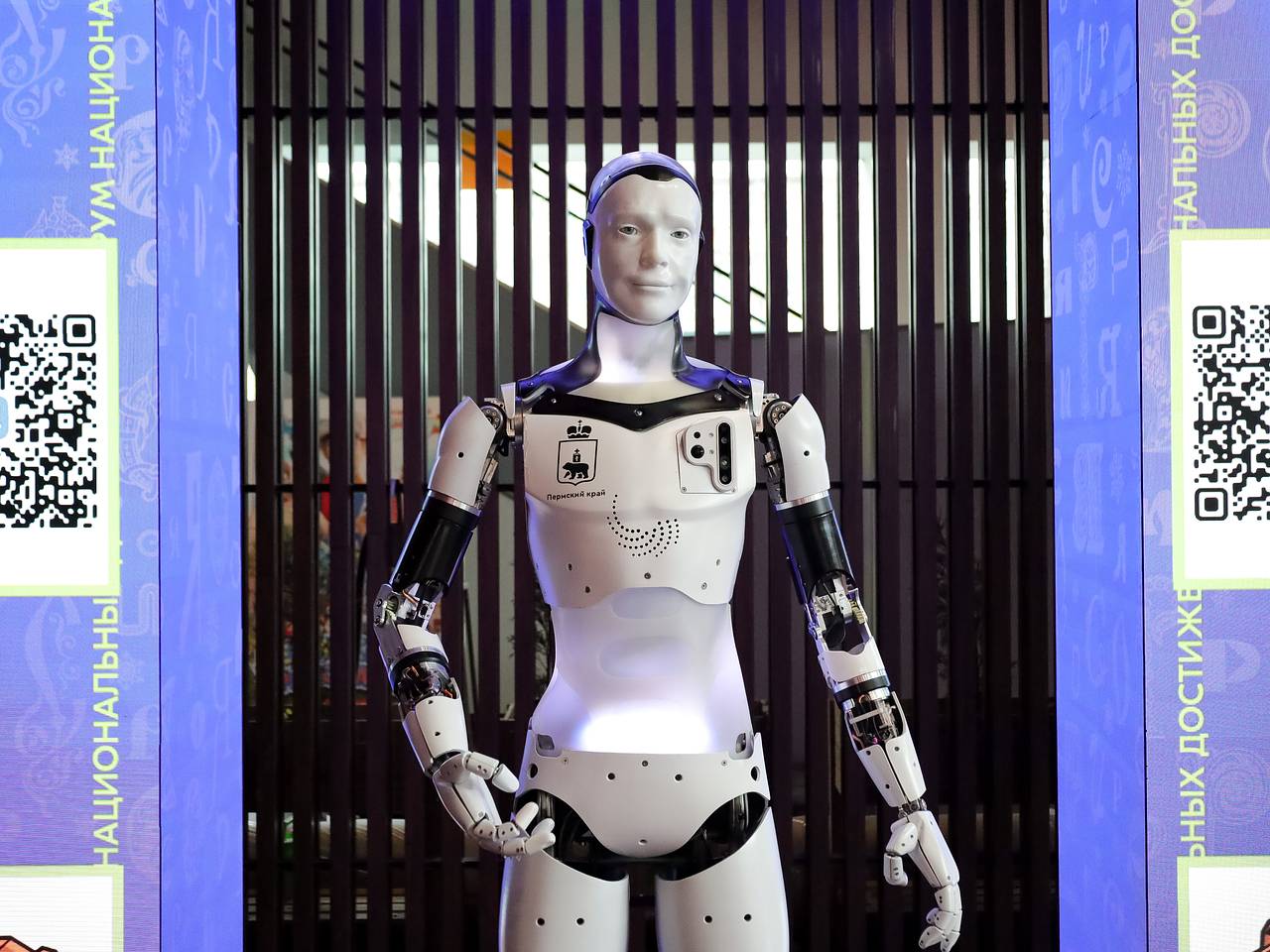 В Совфеде предложили заменить мигрантов роботами