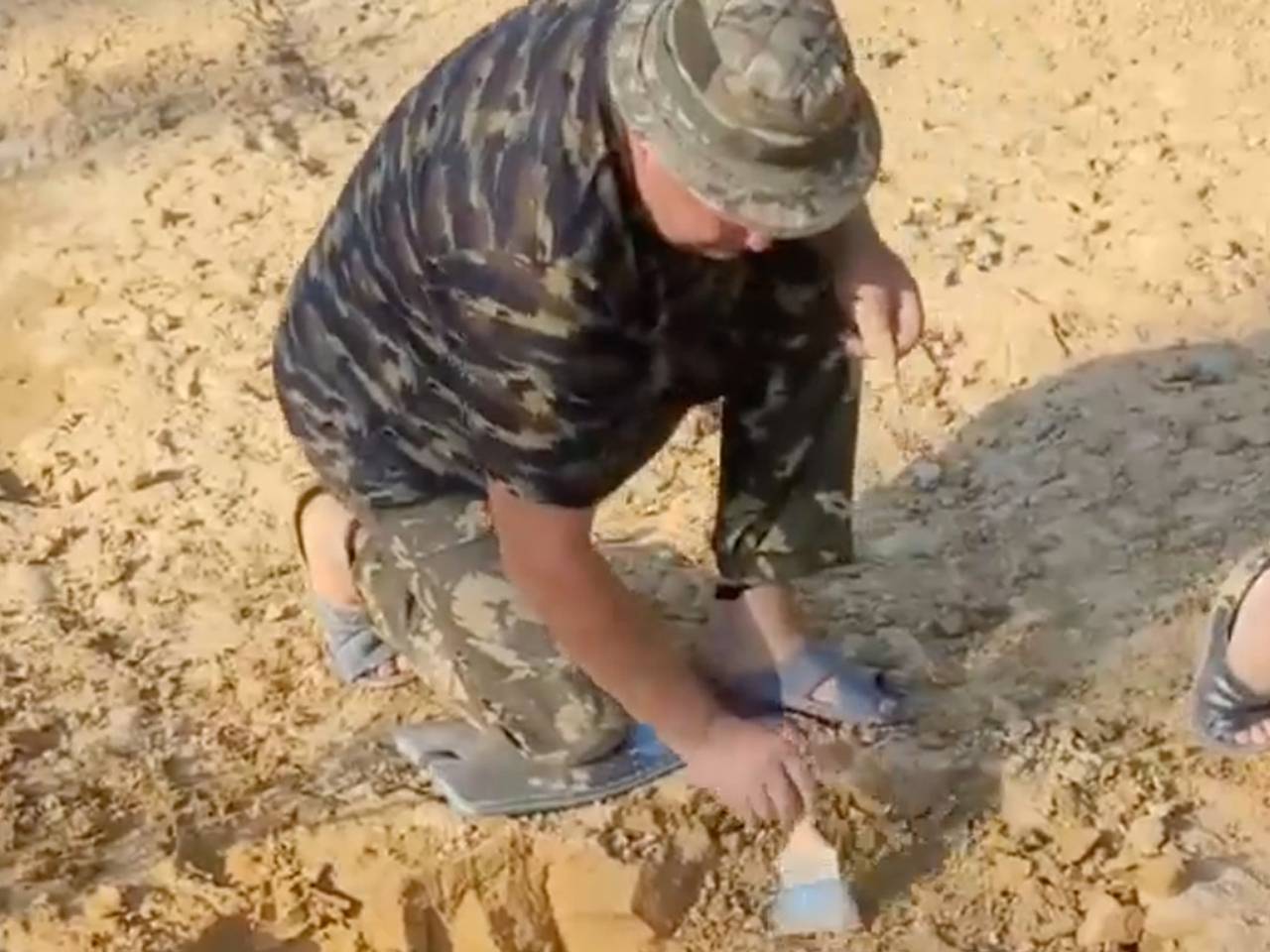 Археологи нашли в российском городе останки зверя ледникового периода