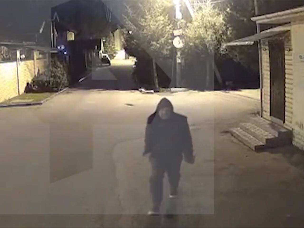 Экс-министр Подмосковья попал на видео в день нападения на бывшую подругу