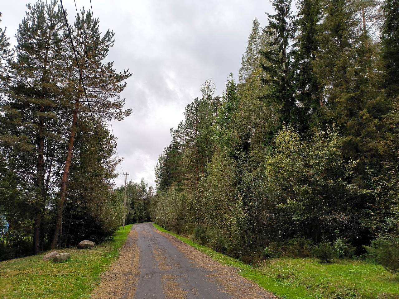 Волонтеры в последний момент спасли потерявшегося в лесу пенсионера