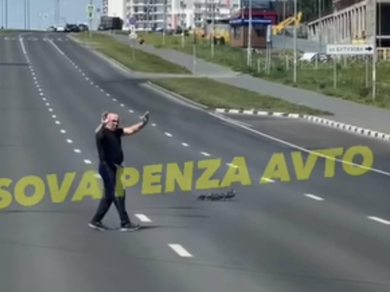 Россиянин выбежал на проезжую часть ради спасения семейства уток и попал на видео