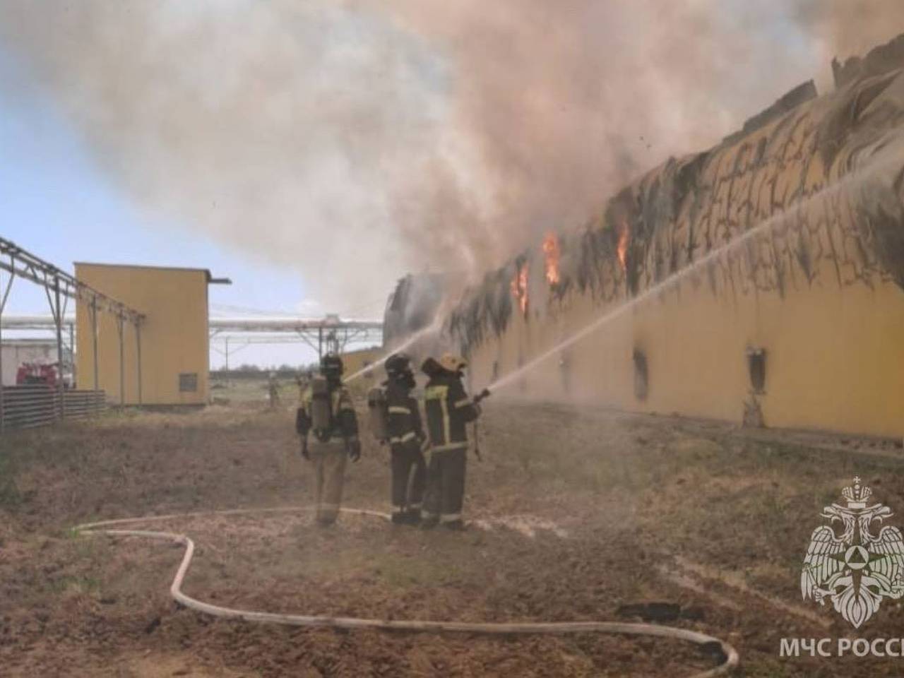 Появились подробности о сгоревшей со 166 тысячами кур российской птицефабрике