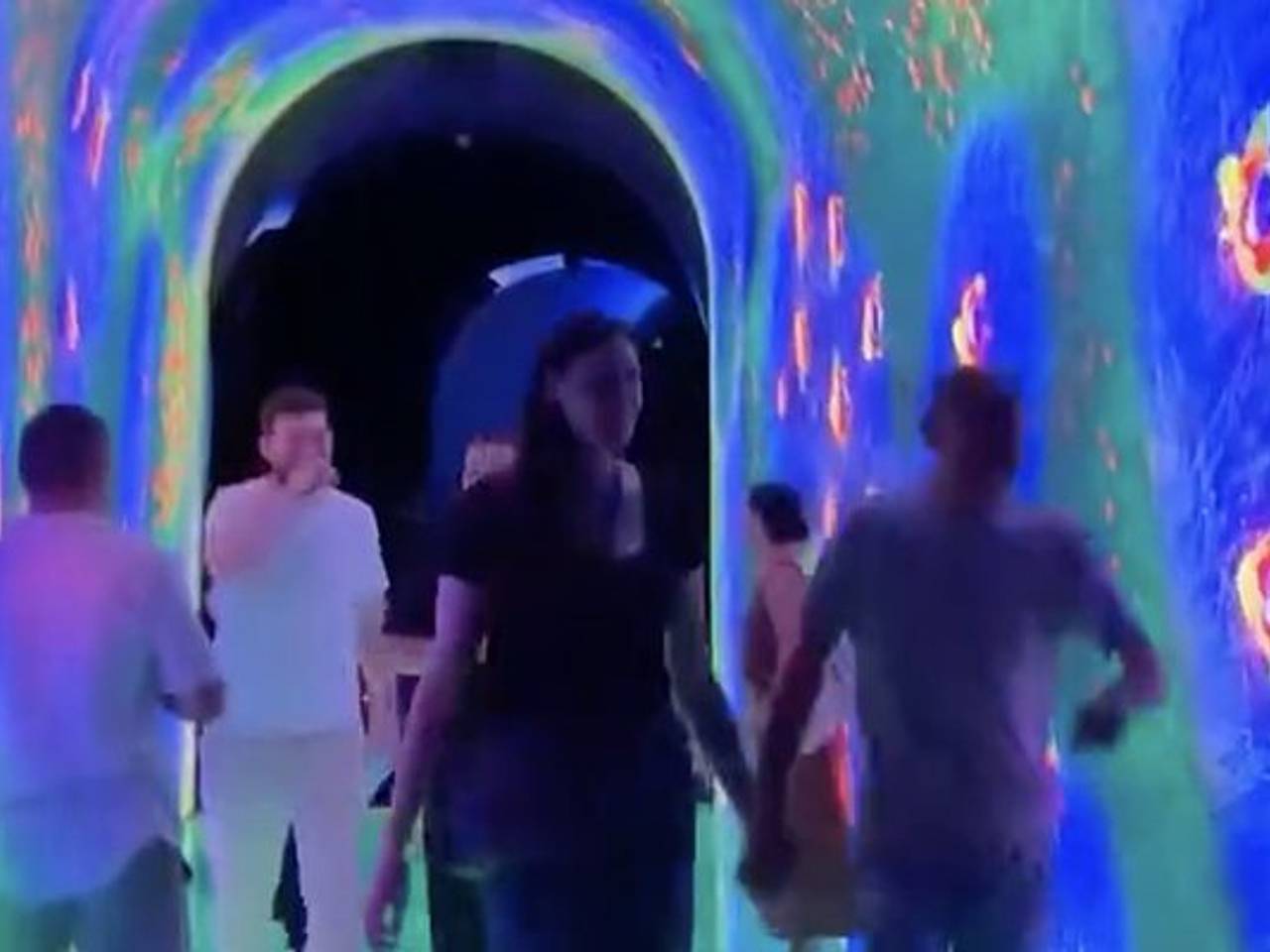 «Кроличья нора» открылась в России