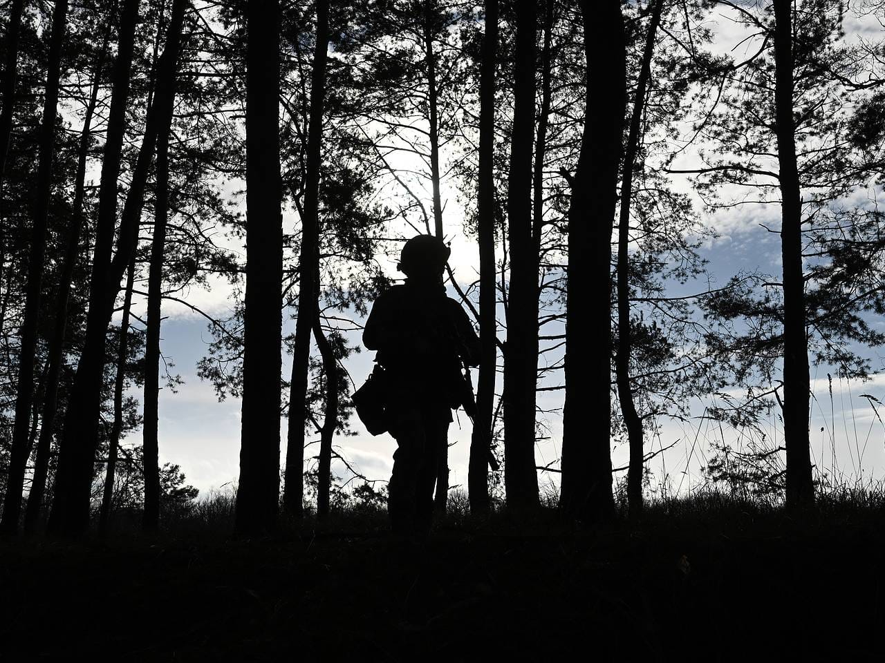 Участникам СВО предложили дать право на бесплатное второе образование