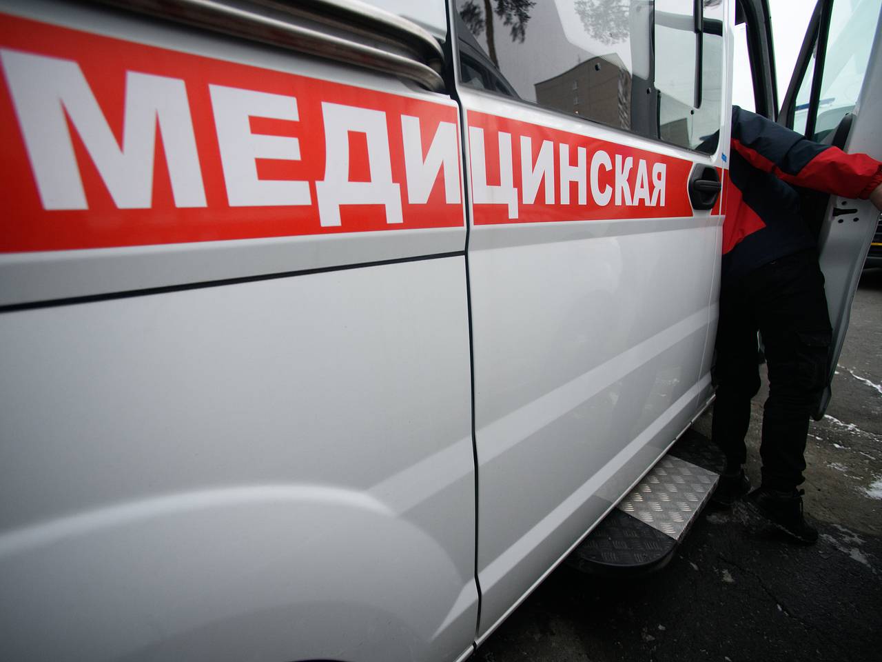 В Магнитогорске пес спас семью от ядовитой змеи В Магнитогорске пес спас семью от ядовитой змеи