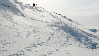 В России исчезла территория площадью 53 гектара