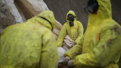 Стало известно о новой должности обругавшего чистящих птиц от мазута волонтеров чиновника