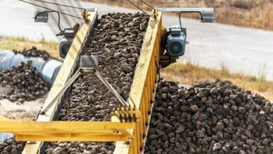 В Подмосковье назвали объемы собранной свеклы в прошедшем году