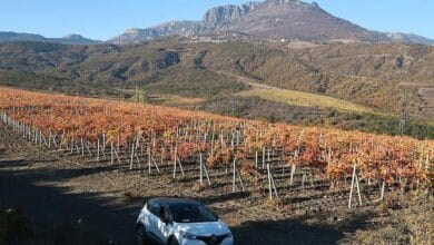 Названы топ-10 резко ставших интересными россиянам городов