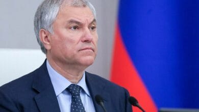 Володин высказался о переменах после принятия новых миграционных законов в России