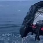 Разъяренная моржиха атаковала лодку россиян, пробила ее и попала на видео 917528e9a553703b82394841679de630.jpg
