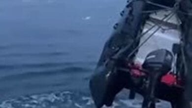 Разъяренная моржиха атаковала лодку россиян, пробила ее и попала на видео