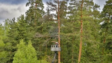 Представителям одной профессии в российском регионе увеличат зарплату на 24 процента Представителям одной профессии в российском регионе увеличат зарплату на 24 процента
