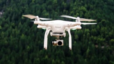 В российском регионе нашли необычное применение беспилотникам В российском регионе нашли необычное применение беспилотникам