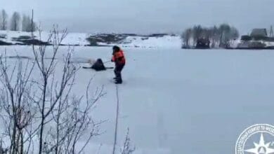 В Башкирии спасли оказавшегося посреди пруда лося