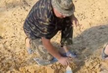 Археологи нашли в российском городе останки зверя ледникового периода