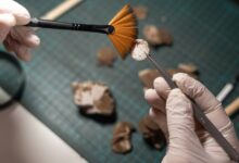 Найдена уникальная печать Ярослава Мудрого Найдена уникальная печать Ярослава Мудрого