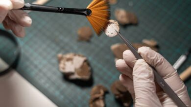 Найдена уникальная печать Ярослава Мудрого Найдена уникальная печать Ярослава Мудрого