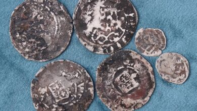 Клад времен Великого княжества Литовского в Смоленске: фото, состав монет и история находки Россияне нашли редчайший клад времен Великого княжества Литовского