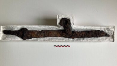 Древний меч нашли в могиле в России