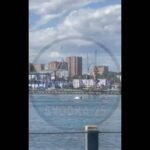 Кит сделал прыжок в самом центре Владивостока и попал на видео