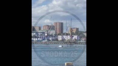 Кит сделал прыжок в самом центре Владивостока и попал на видео