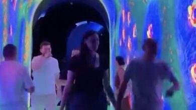 «Кроличья нора» открылась в России «Кроличья нора» открылась в России