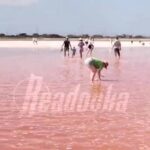 Сказочное розовое озеро вернулось в Крыму