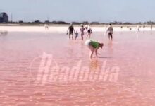 Сказочное розовое озеро вернулось в Крыму Сказочное розовое озеро вернулось в Крыму