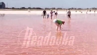 Сказочное розовое озеро вернулось в Крыму