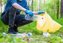 В российском санатории облагородили участок с историческими постройками