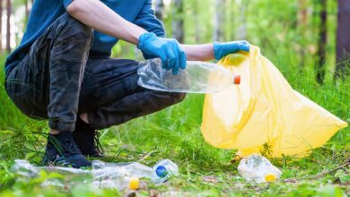 В российском санатории облагородили участок с историческими постройками В российском санатории облагородили участок с историческими постройками