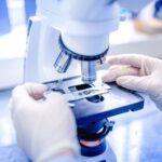 Российский генетик оказался в топе самых цитируемых ученых мира Российский генетик оказался в топе самых цитируемых ученых мира