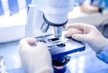 Российский генетик оказался в топе самых цитируемых ученых мира Российский генетик оказался в топе самых цитируемых ученых мира