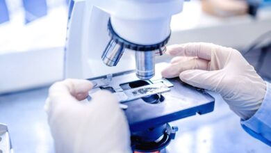 Российский генетик оказался в топе самых цитируемых ученых мира