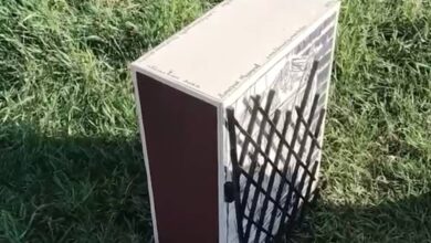 Гигантские спичечные коробки начали заполонять российский город Гигантские спичечные коробки начали заполонять российский город