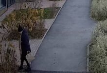 Отравление собак в Екатеринбурге: что случилось в ЖК Изумрудный бор, видео, комментарий полиции Россиянку обвинили в отравлении собак