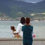 Россияне выбрали новый главный курорт лета Россияне выбрали новый главный курорт лета