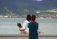 Россияне выбрали новый главный курорт лета Россияне выбрали новый главный курорт лета