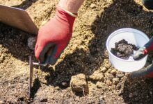 В российском регионе нашли загадочный саркофаг В российском регионе нашли загадочный саркофаг