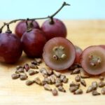 В России вывели полезный антиоксидант из косточки винограда