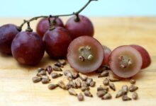 В России вывели полезный антиоксидант из косточки винограда