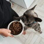 Траты на питомцев в России 2024: исследование расходов Россияне раскрыли размер трат на уход за питомцами