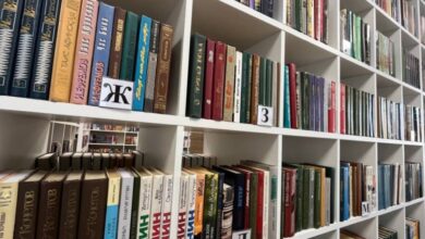 Пять новых модельных библиотек откроют в Забайкалье