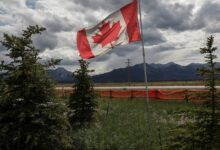 В Канаде уличили украинских исследователей в продвижении антироссийского нарратива