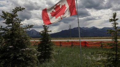 В Канаде уличили украинских исследователей в продвижении антироссийского нарратива