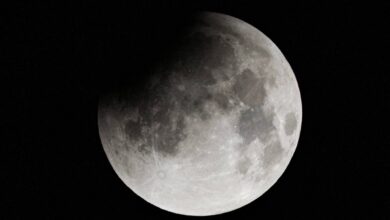 Китай подтвердил высадку на Луну к 2030 году: все, что известно о миссии КНР Китай подтвердил планы высадить человека на Луну