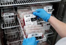 В минздраве Подмосковья назвали объем заготовленной донорской крови В минздраве Подмосковья назвали объем заготовленной донорской крови